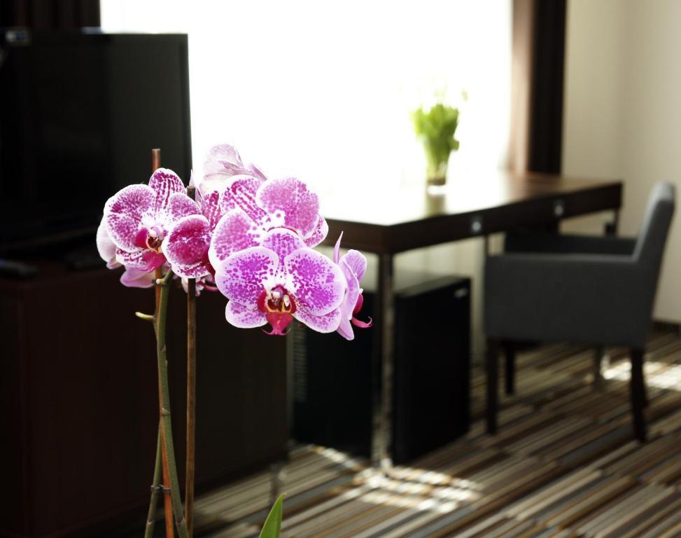 City Center House Elephant Poznan Room photo